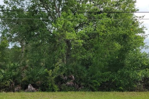 Land in Orlando, Florida № 2391326