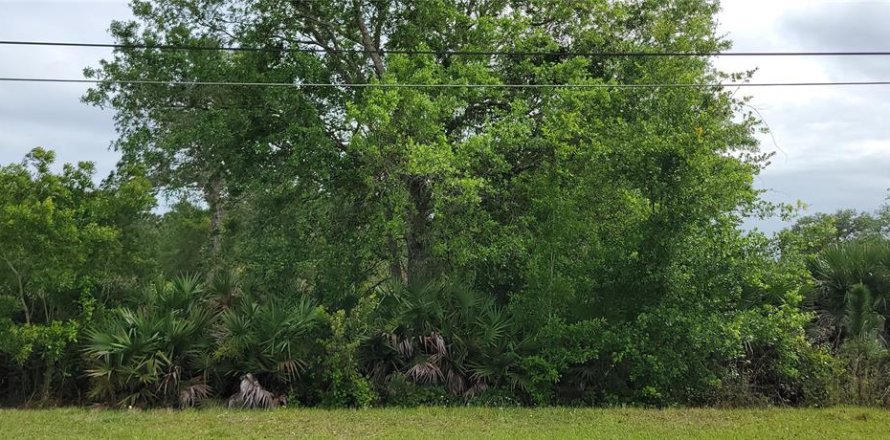 Land in Orlando, Florida № 2391326