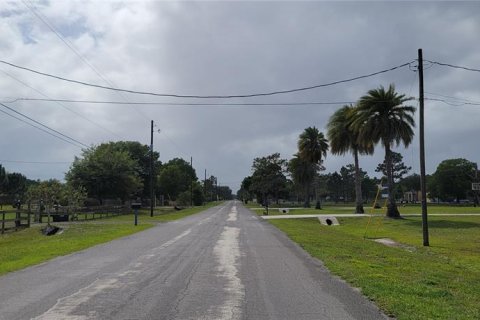 Land in Orlando, Florida № 2391326 - photo 6