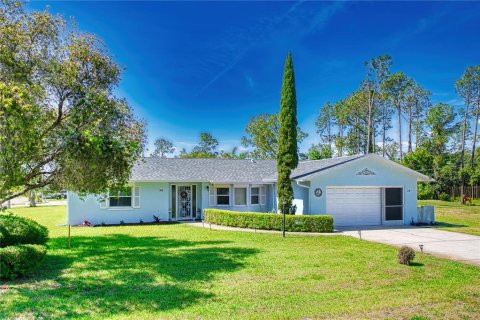 Villa ou maison à Palm Coast, Floride 2 chambres, 155.7 m2 № 2148405