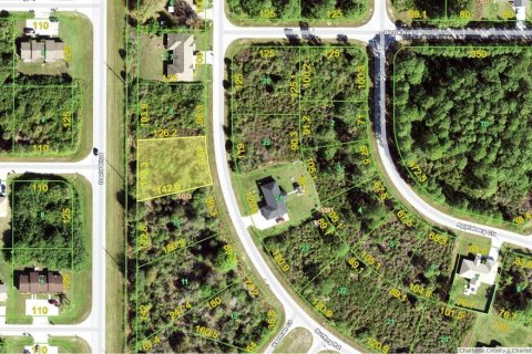Land in Port Charlotte, Florida № 1555735 - photo 1
