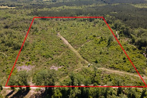 Terreno en venta en Westville, Florida № 561055 - foto 1