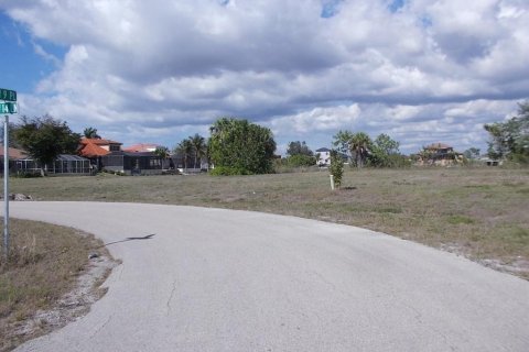 Terreno en venta en Cape Coral, Florida № 1778554 - foto 6