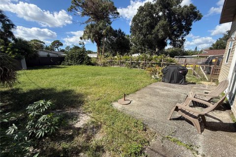 Villa ou maison à louer à Oldsmar, Floride: 4 chambres, 182.46 m2 № 2431067 - photo 11