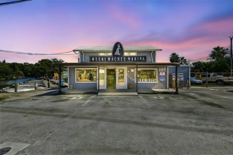 Immobilier commercial à Weeki Wachee, Floride № 2123622