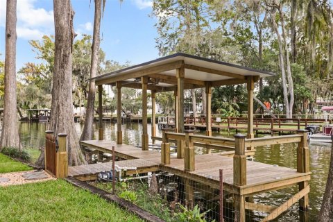 House in Tavares, Florida 3 bedrooms, 143.63 sq.m. № 2423743 - photo 26