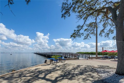 House in Tampa, Florida 3 bedrooms, 289.3 sq.m. № 1813270 - photo 11
