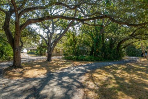 House in Tampa, Florida 3 bedrooms, 289.3 sq.m. № 1813270 - photo 24