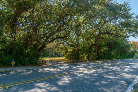 House in Tampa, Florida 3 bedrooms, 289.3 sq.m. № 1813270 - photo 21