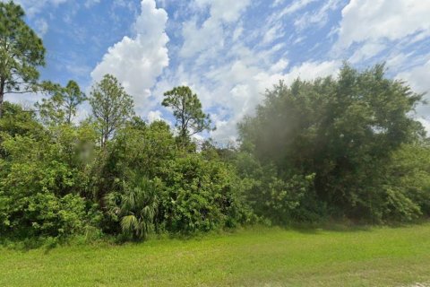 Terrain à Clewiston, Floride № 2232876