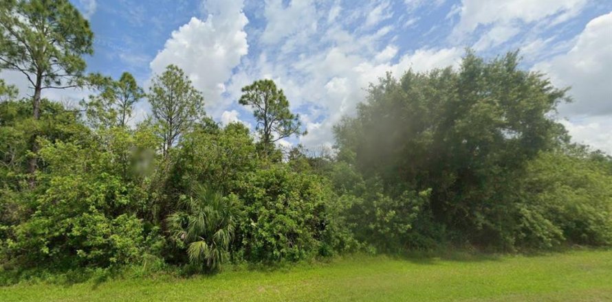 Terrain à Clewiston, Floride № 2232876