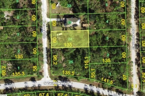 Land in Punta Gorda, Florida № 2160111 - photo 4