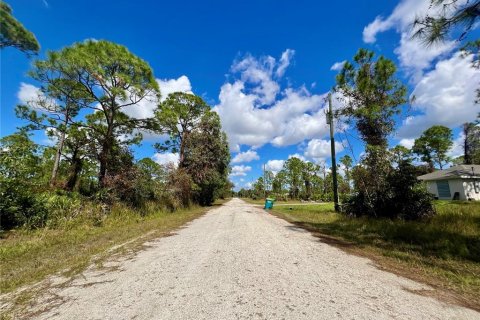 Land in Punta Gorda, Florida № 2160111 - photo 3