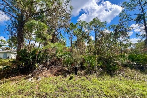 Land in Punta Gorda, Florida № 2160111