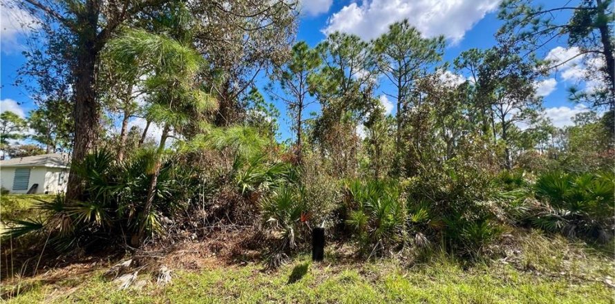 Land in Punta Gorda, Florida № 2160111