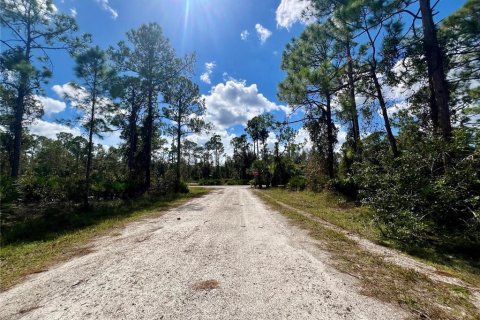 Land in Punta Gorda, Florida № 2160111 - photo 2