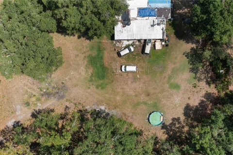 Land in Mulberry, Florida № 520489 - photo 16