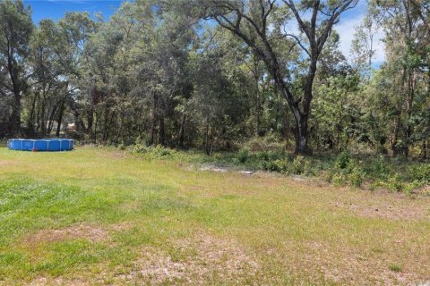 Land in Mulberry, Florida № 520489 - photo 21