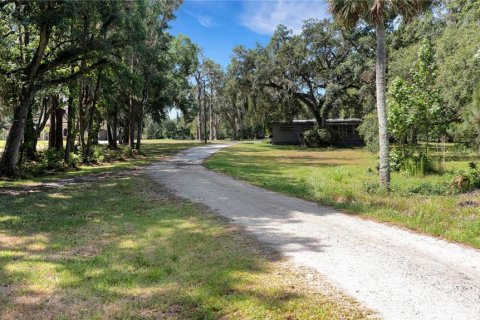 Land in Mulberry, Florida № 520489 - photo 12