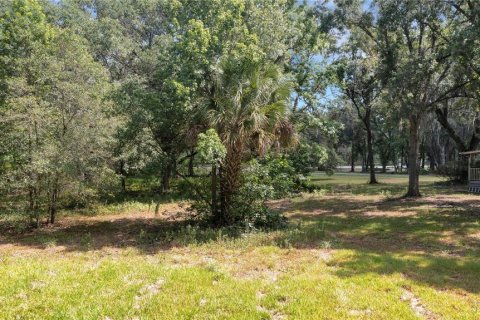 Land in Mulberry, Florida № 520489 - photo 24