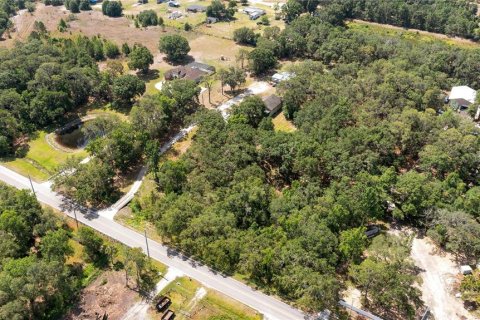 Land in Mulberry, Florida № 520489 - photo 29