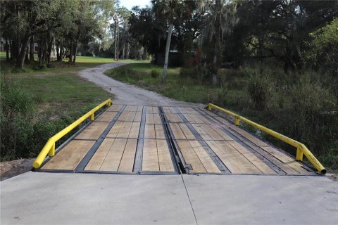 Land in Mulberry, Florida № 520489 - photo 11