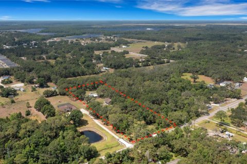 Land in Mulberry, Florida № 520489 - photo 5