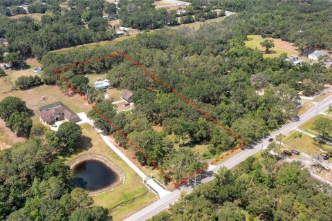 Land in Mulberry, Florida № 520489 - photo 3