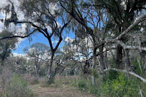 Terrain à vendre à Williston, Floride № 2143145 - photo 6
