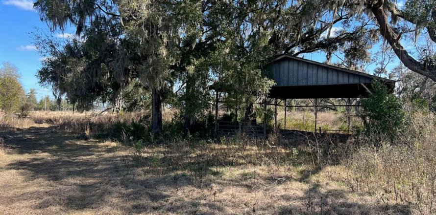 Terrain à Williston, Floride № 2143145