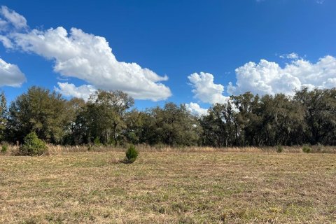 Terrain à vendre à Williston, Floride № 2143145 - photo 5