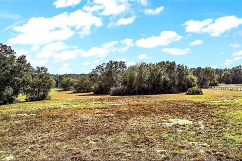 Terrain à vendre à Clermont, Floride № 2330094 - photo 2