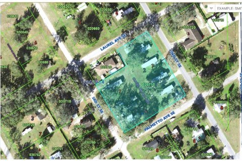 Propiedad comercial en venta en Lakeland, Florida, 4 dormitorios, 167.22 m2 № 1720255 - foto 1