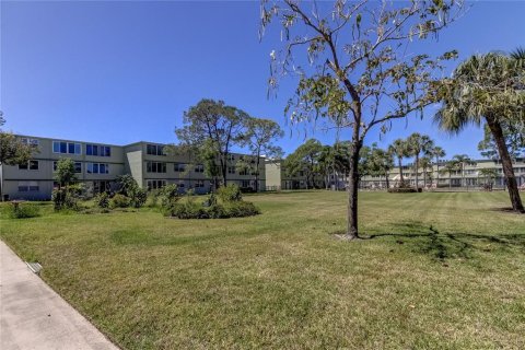 Condo in Saint Petersburg, Florida, 1 bedroom  № 2217609 - photo 6