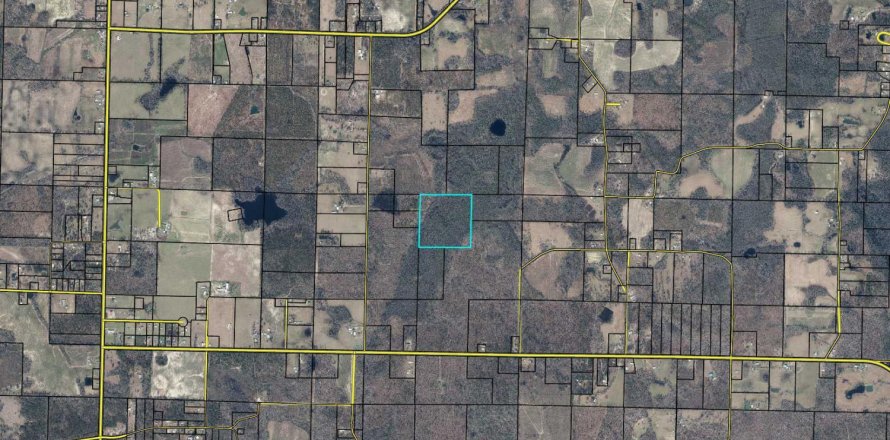 Land in Chipley, Florida № 558210