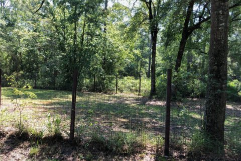 Land in Sanderson, Florida № 766567 - photo 1