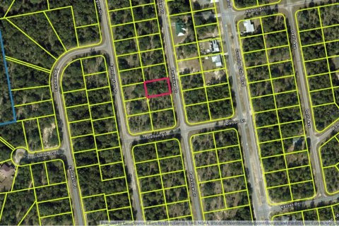 Land in Chipley, Florida № 2387506 - photo 2