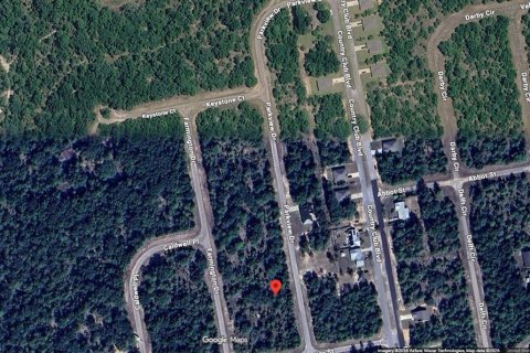 Land in Chipley, Florida № 2387506 - photo 4