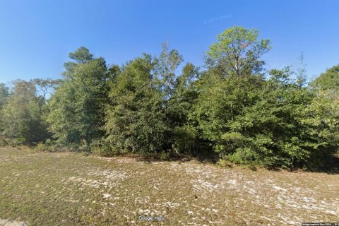 Land in Chipley, Florida № 2387506
