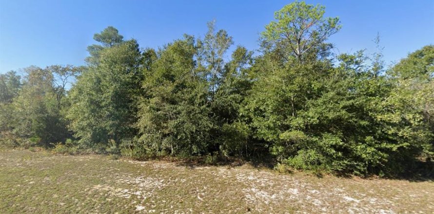 Land in Chipley, Florida № 2387506