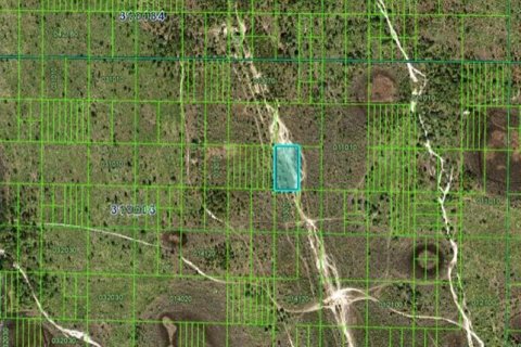 Land in Frostproof, Florida № 2158881 - photo 3