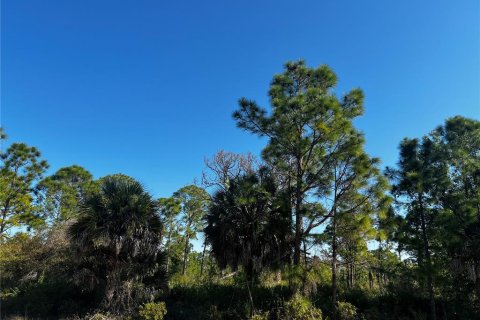 Land in Port Charlotte, Florida № 2159248