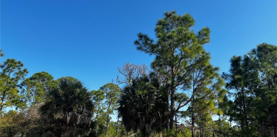 Land in Port Charlotte, Florida № 2159248