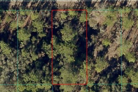 Land in Dunnellon, Florida № 2165419