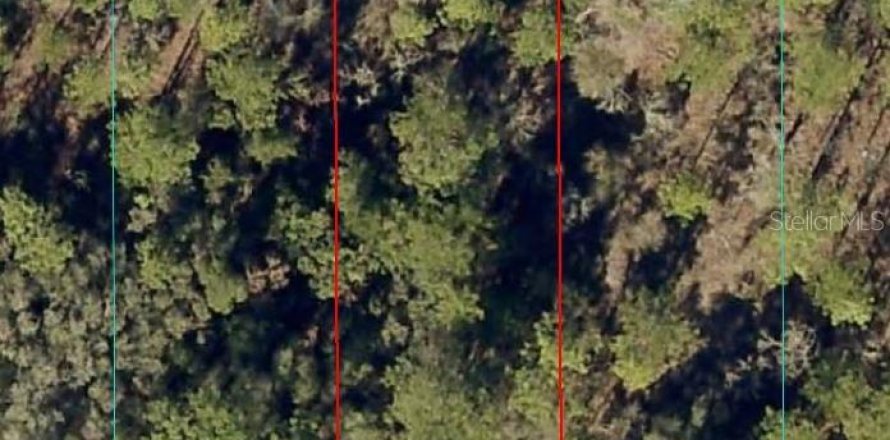 Land in Dunnellon, Florida № 2165419