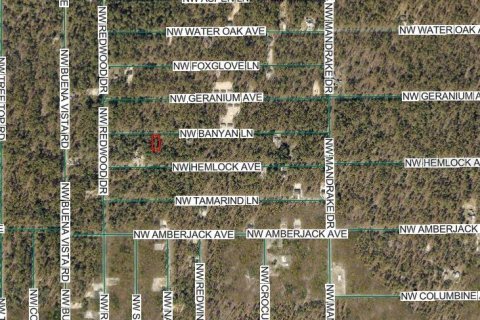 Land in Dunnellon, Florida № 2165419 - photo 3