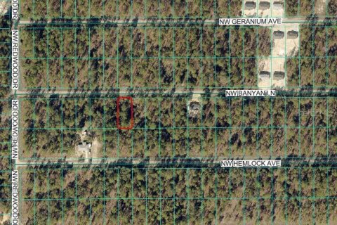 Land in Dunnellon, Florida № 2165419 - photo 2