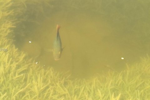 Adosado en venta en Miami, Florida, 3 dormitorios, 94.3 m2 № 1999951 - foto 14