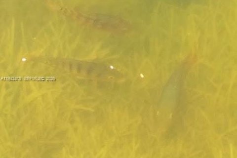 Adosado en venta en Miami, Florida, 3 dormitorios, 94.3 m2 № 1999951 - foto 15