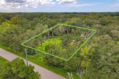 Terreno en venta en Spring Hill, Florida № 1917065 - foto 2